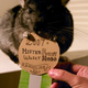 Illustration for article titled FuzzyWuzzyModo: The Winner